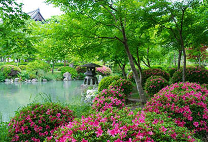 東寺