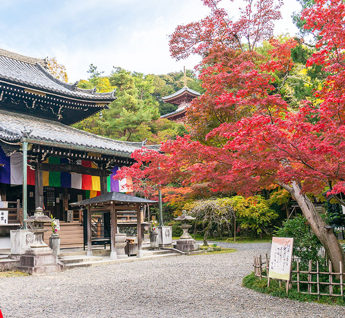 今熊野観音寺写真