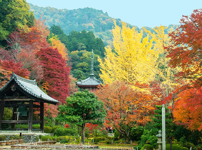 宇治三室戸寺写真