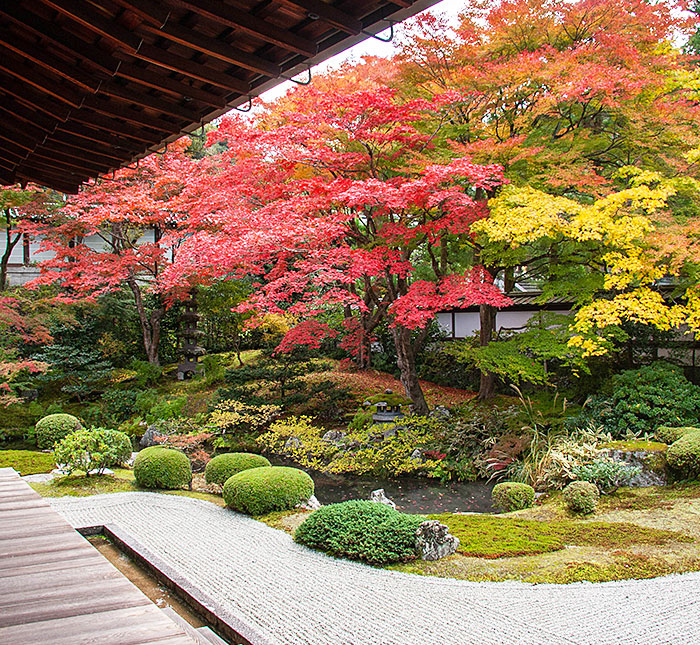泉涌寺写真