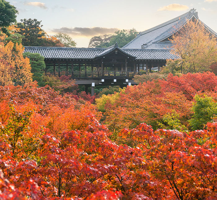 東福寺写真